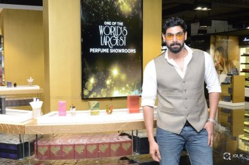 Celebs at SIIMA Awards 2015